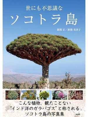 cover image of 世にも不思議なソコトラ島